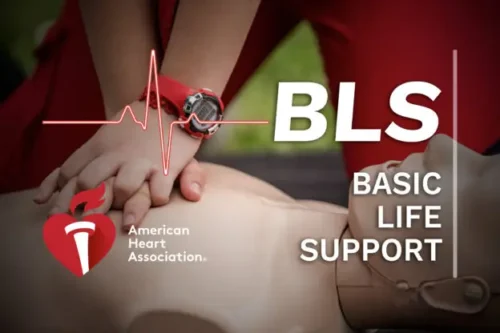Basic Life Support 2024